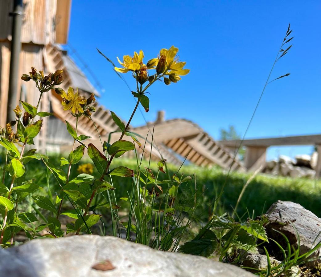 Chalet Velika Planina - I Feel Alps Stahovica Kültér fotó