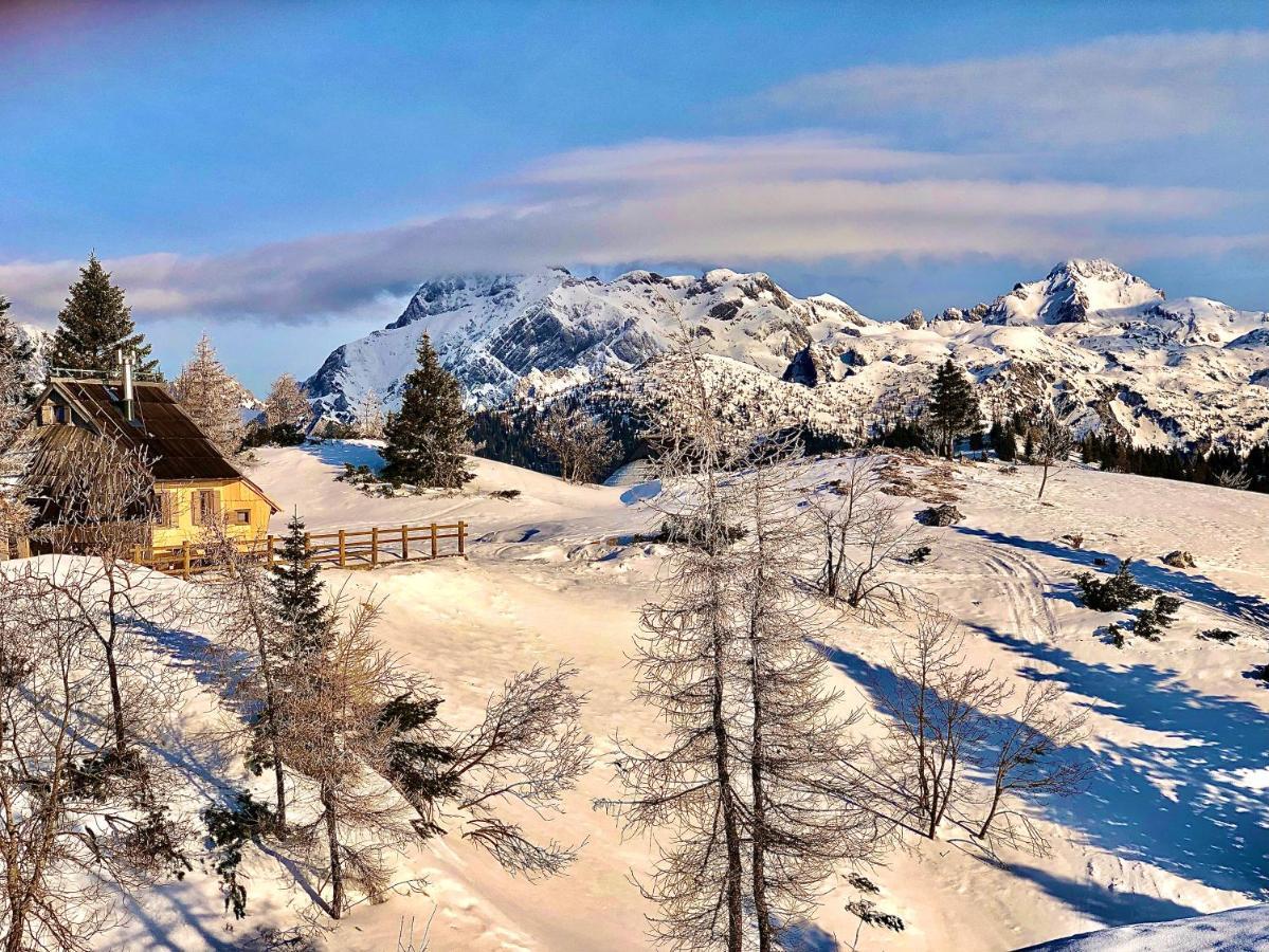 Chalet Velika Planina - I Feel Alps Stahovica Kültér fotó